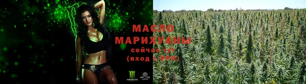 эйфоретик Арсеньев