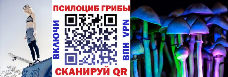 магазин    Лянтор  Галлюциногенные грибы Psilocybe 